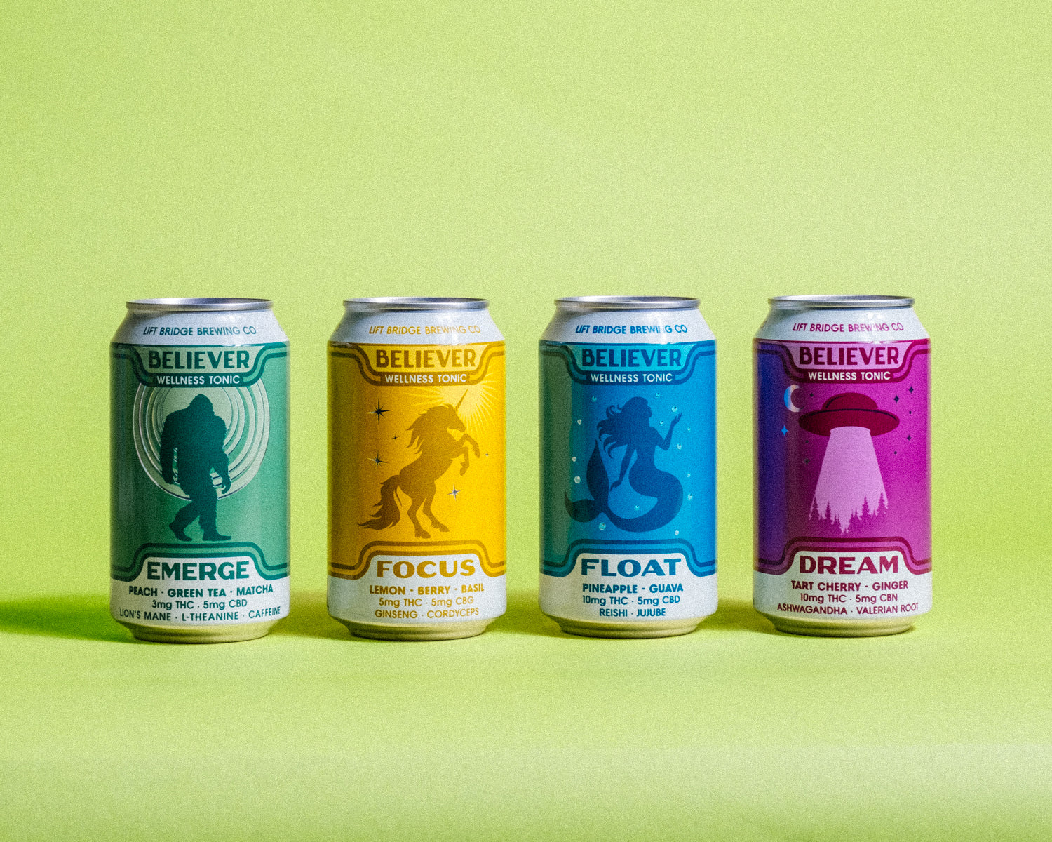Big Believer Variety 12-Pack – Lift Bridge Brewing Co