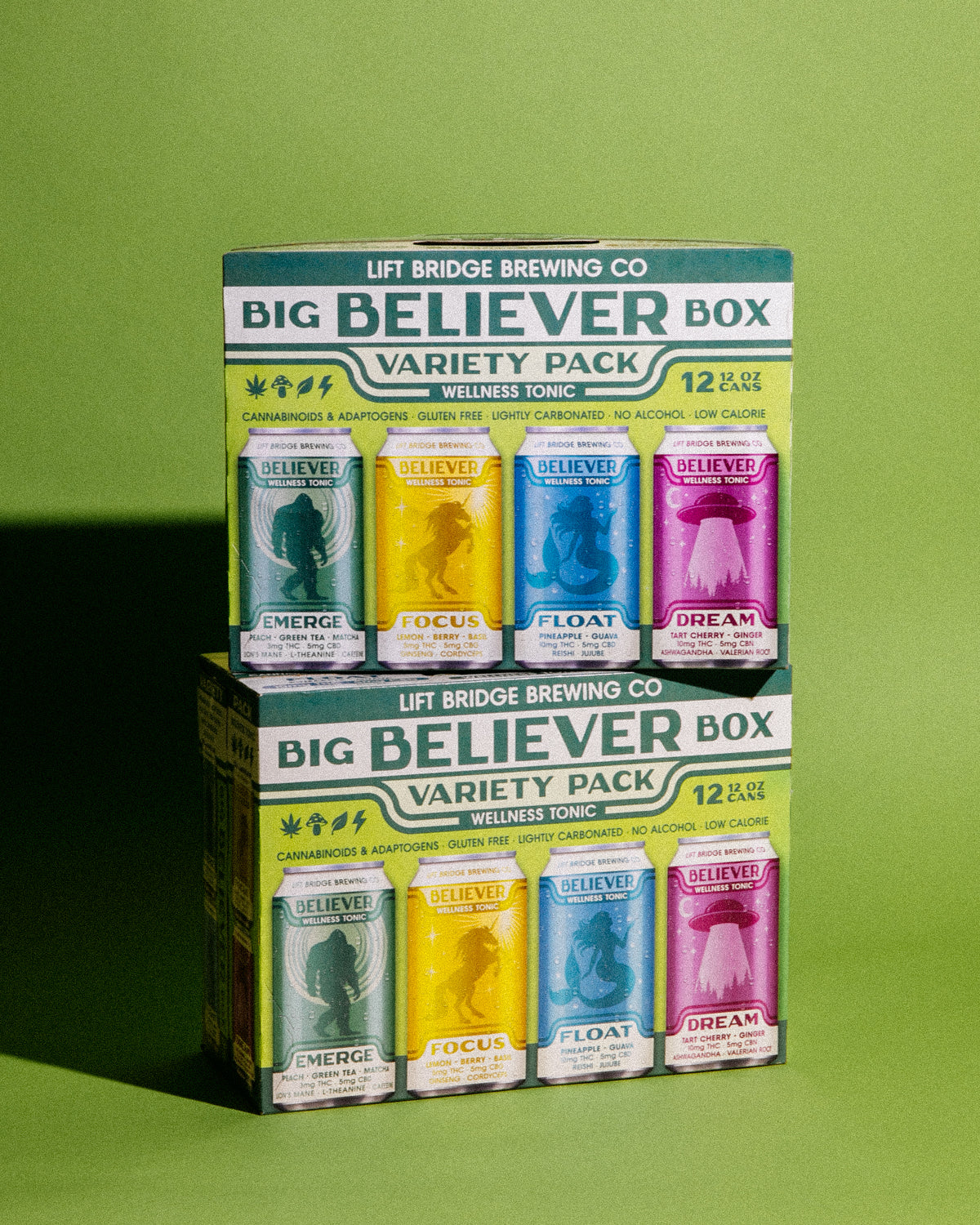 Big Believer Variety 12-Pack – Lift Bridge Brewing Co