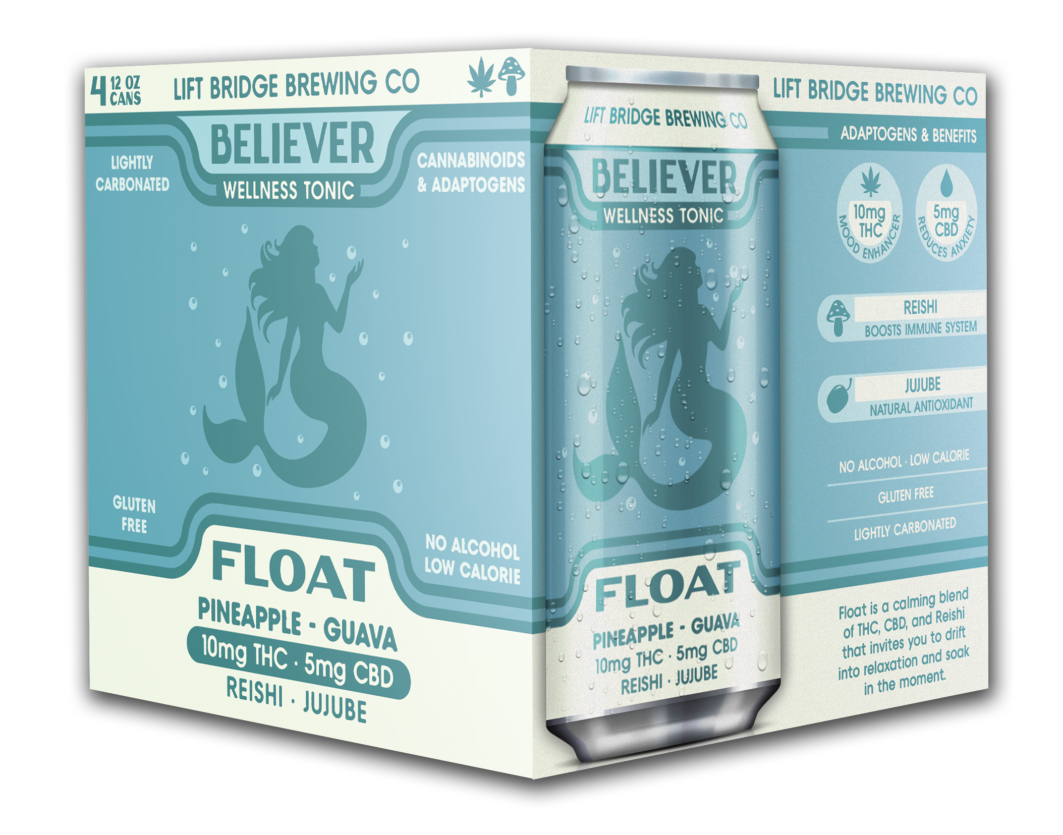FLOAT · Wellness Tonic 4-Pack
